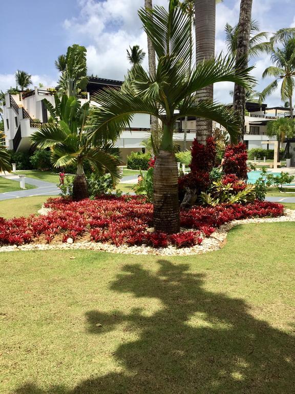 Aligio Beachfront Paradise Apartment *