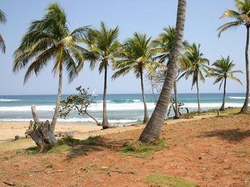 Slabdr Coliving, Once Surf Salvacion