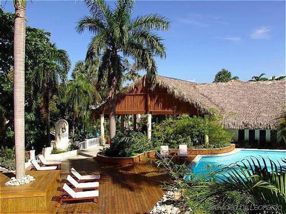 Cofresi Palm &