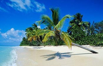 Punta Cana Hostel Hotel