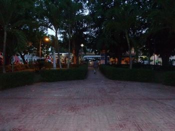 Rig Plaza Venecia Guest house Boca Chica