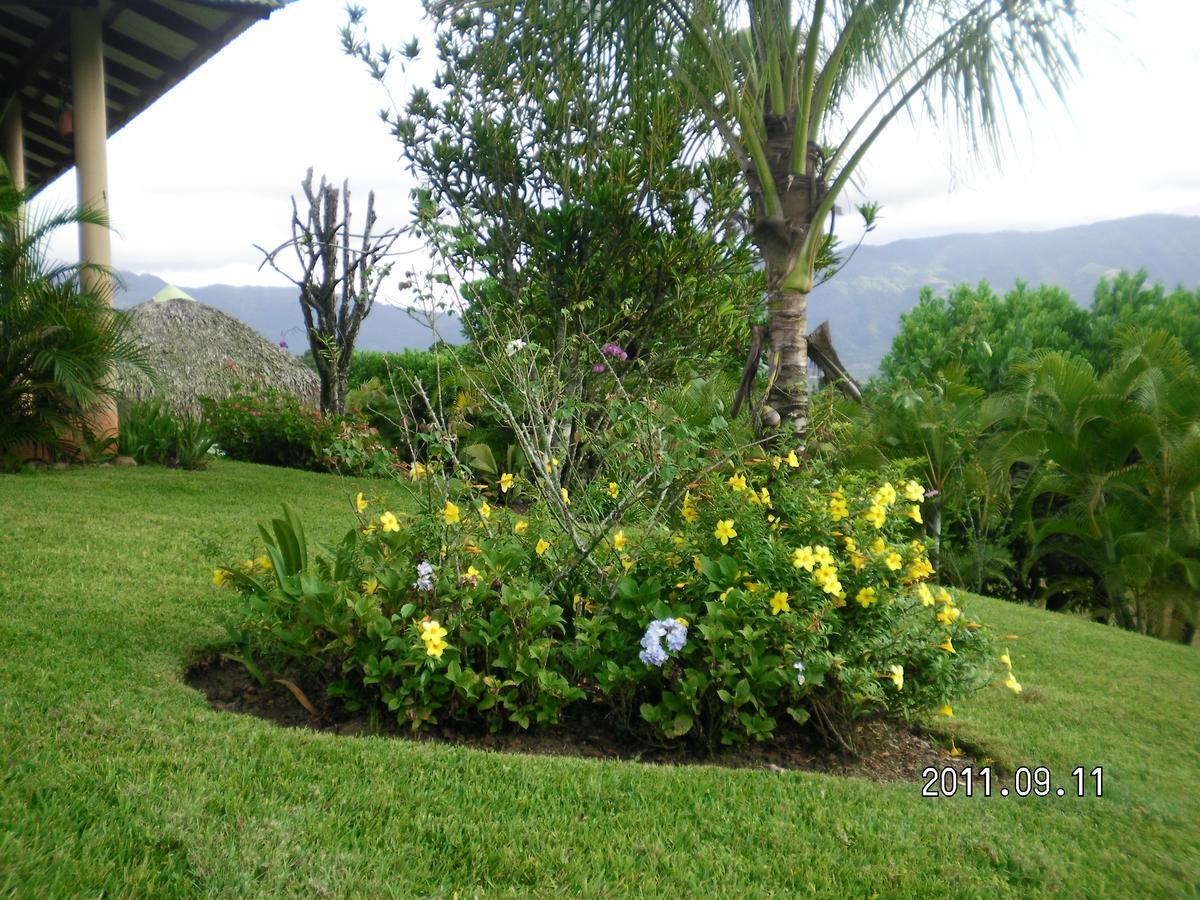 Hotel Mi Vista Mountain *