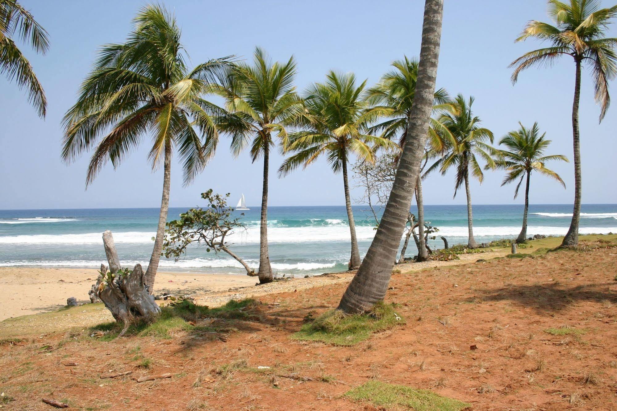 Slabdr Coliving, Once Surf Salvacion Cabarete