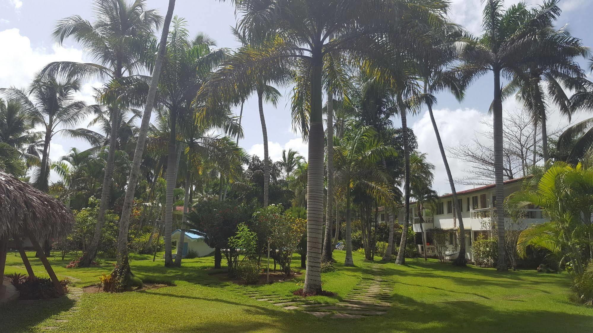 Aparthotel Oasis Terrenas Portillo