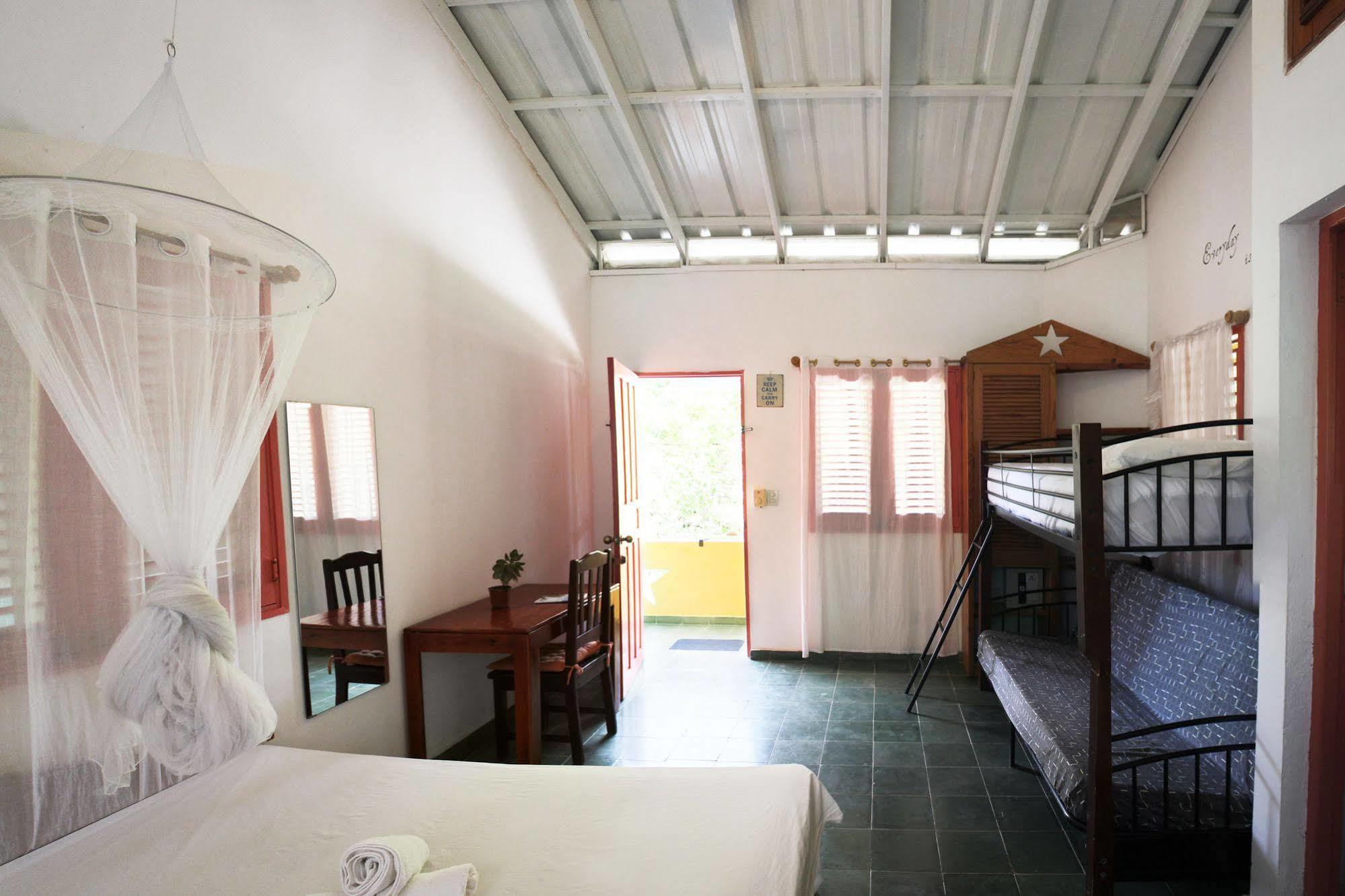 Guest house Casa Delfin 3*