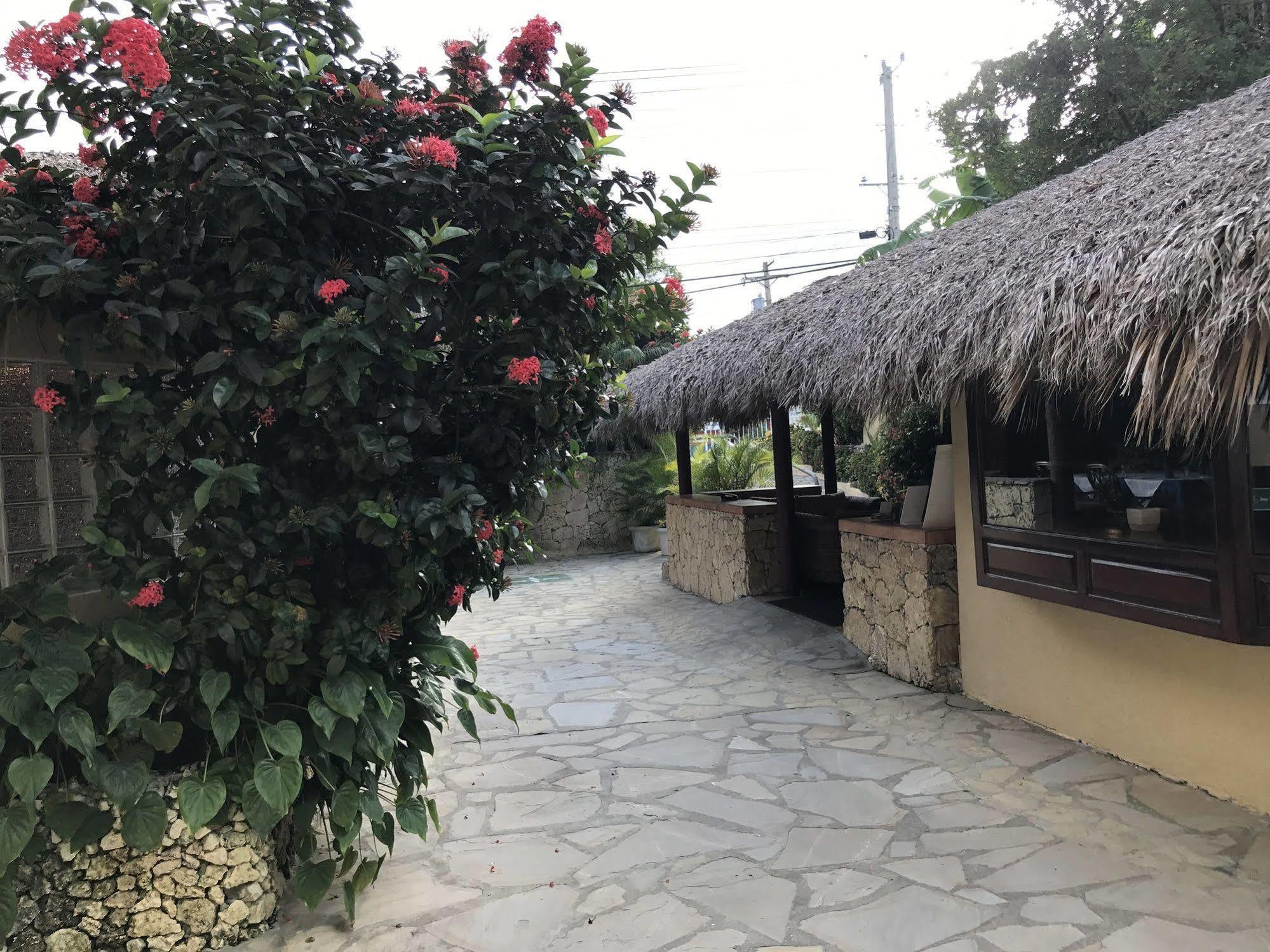 Ocean Manor Cabarete, Dr Cabarete