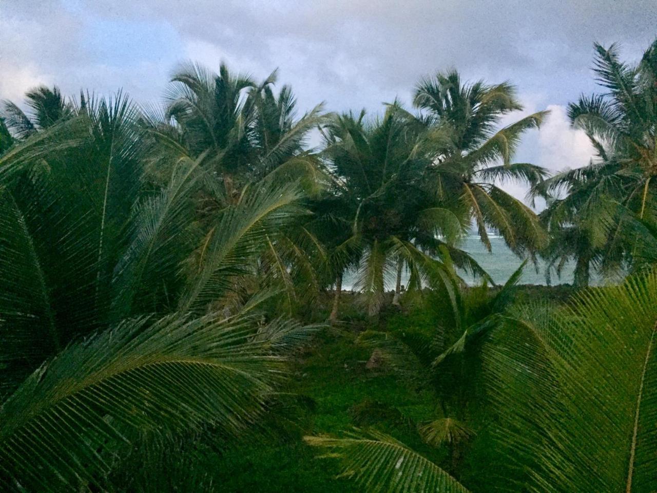 Baoba Breeze Bed & Breakfast- Beachfront Paradise Cabrera