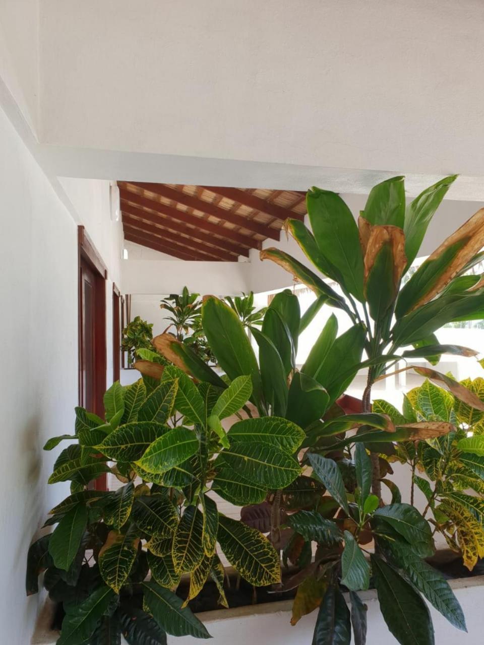Oasi Encantada - 3* Barahona