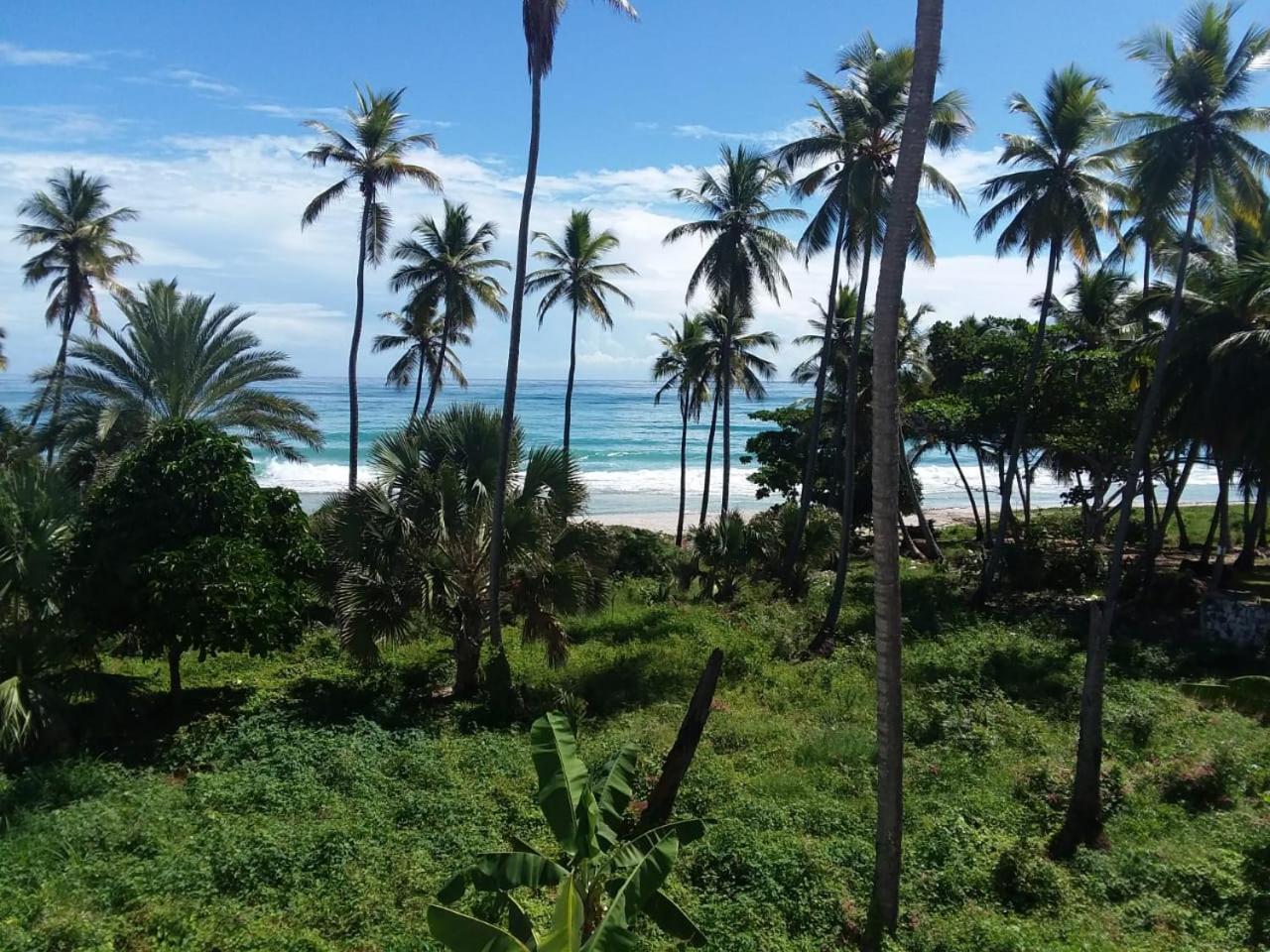 Hotel Oasi Encantada -
