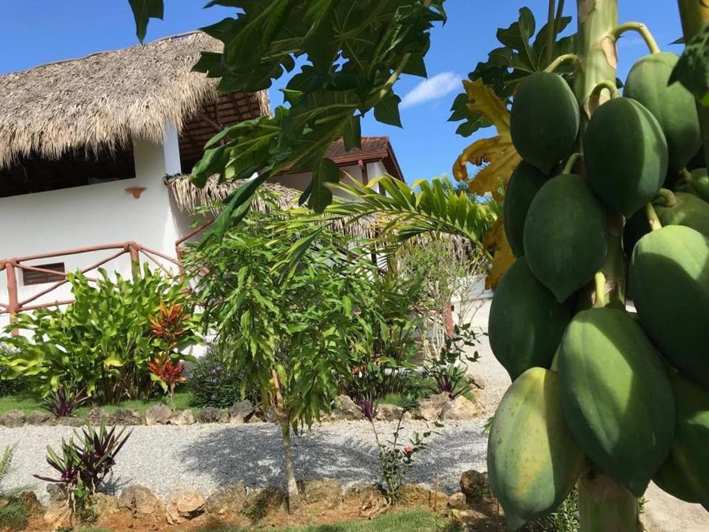 La Casa De Sergio Y Cristina Bed & Breakfast