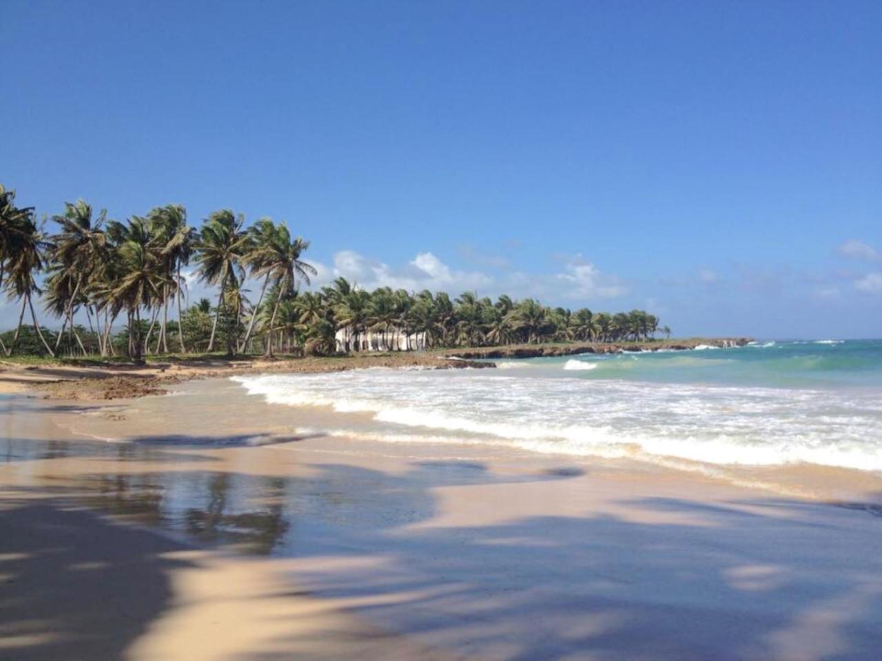 Bed & Breakfast Baoba Breeze Bed & Breakfast- Beachfront Paradise