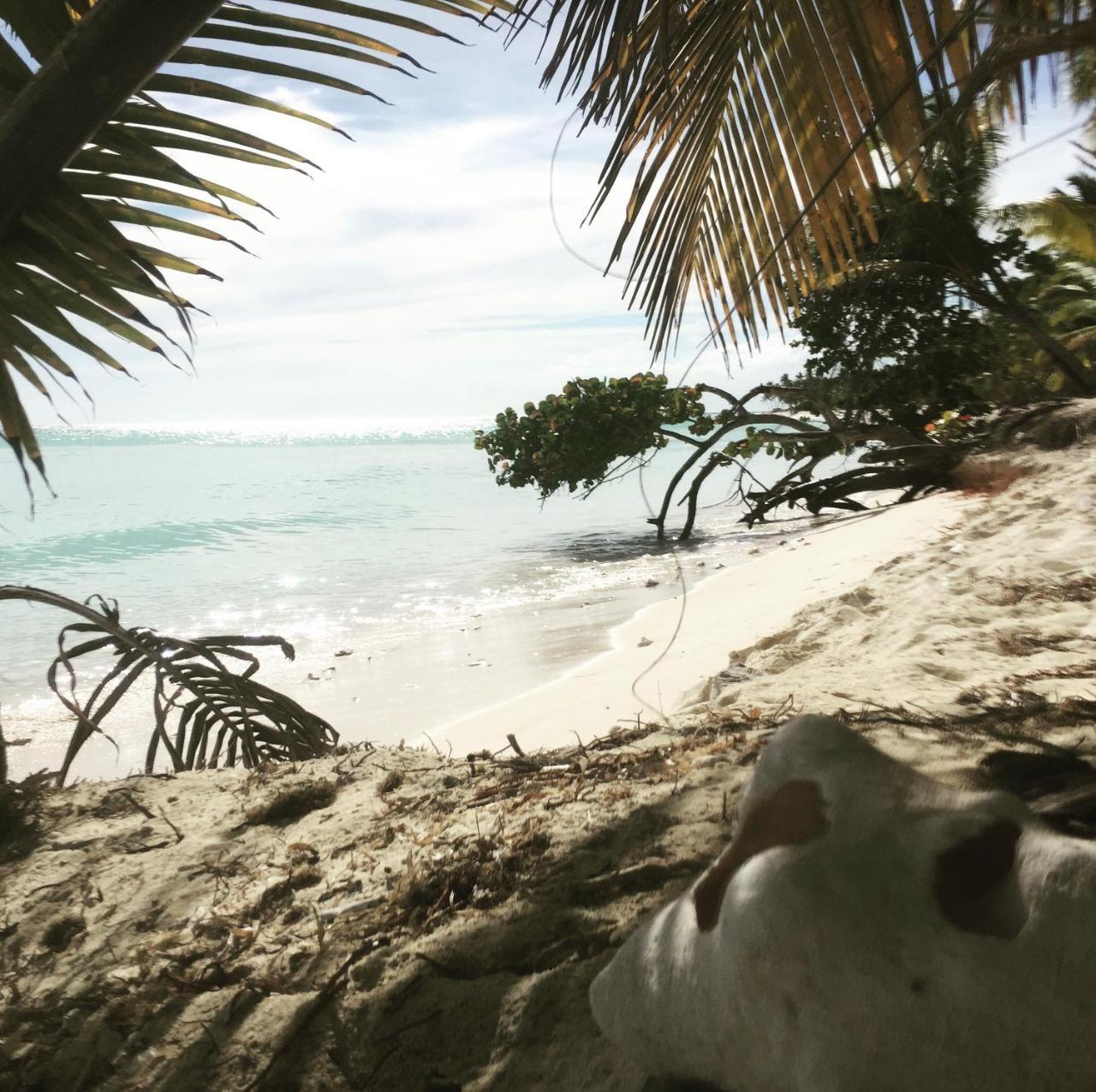 Luna Bed & Breakfast Bayahibe