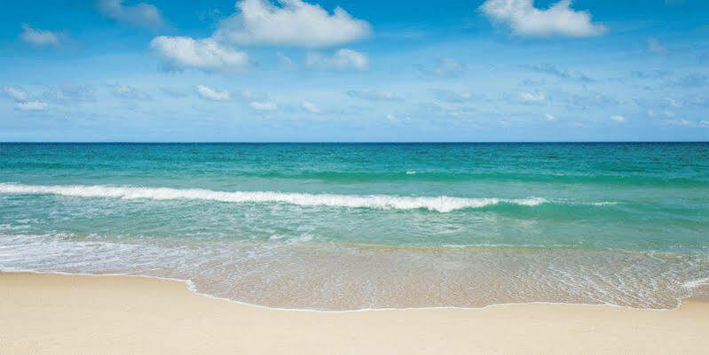 Bluebay Grand Punta Cana 5*