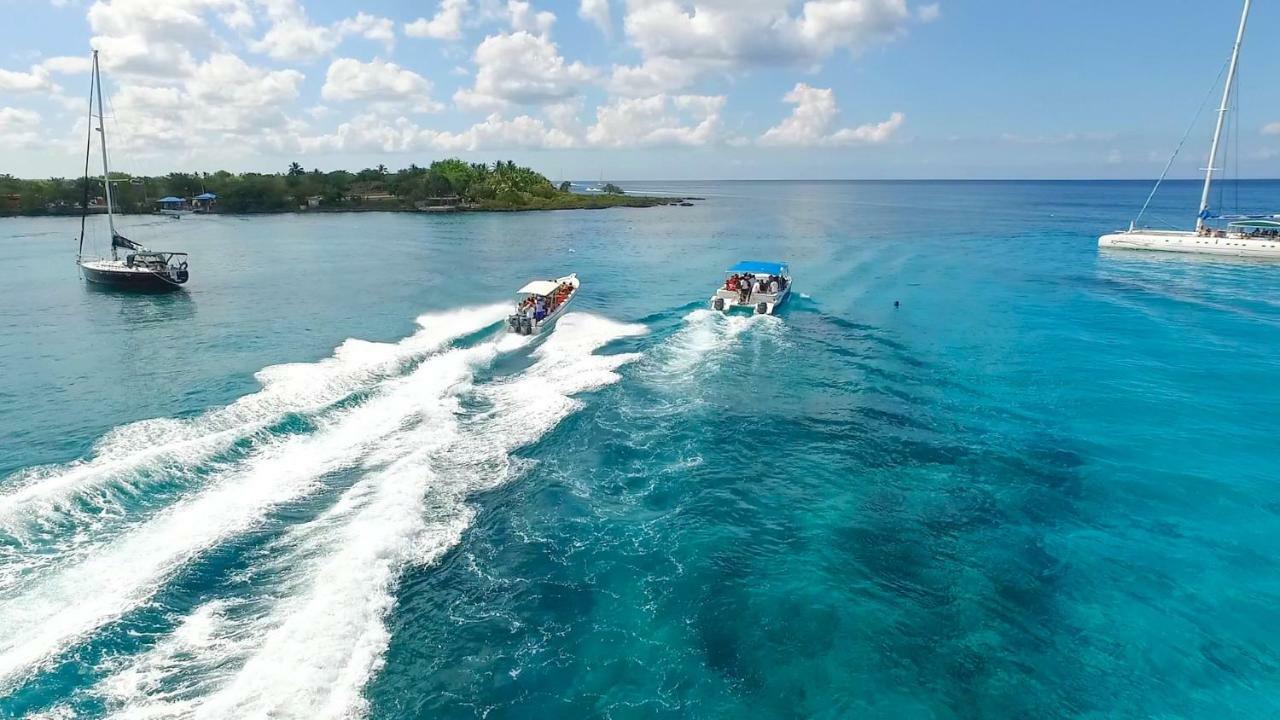 Alkquimia Hotel, Lounge And Bar Hotel Bayahibe