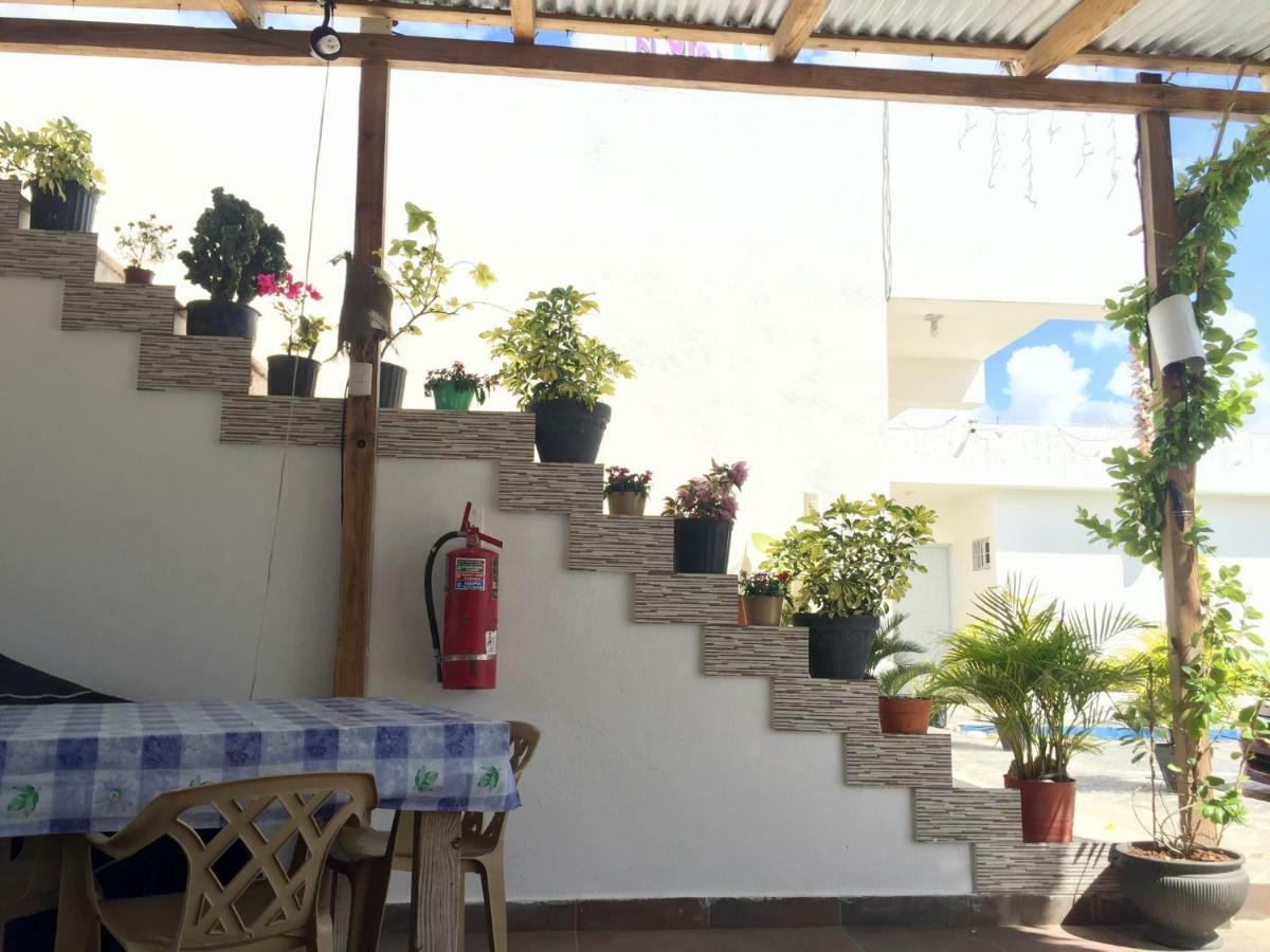 Hostel El Pulpo,