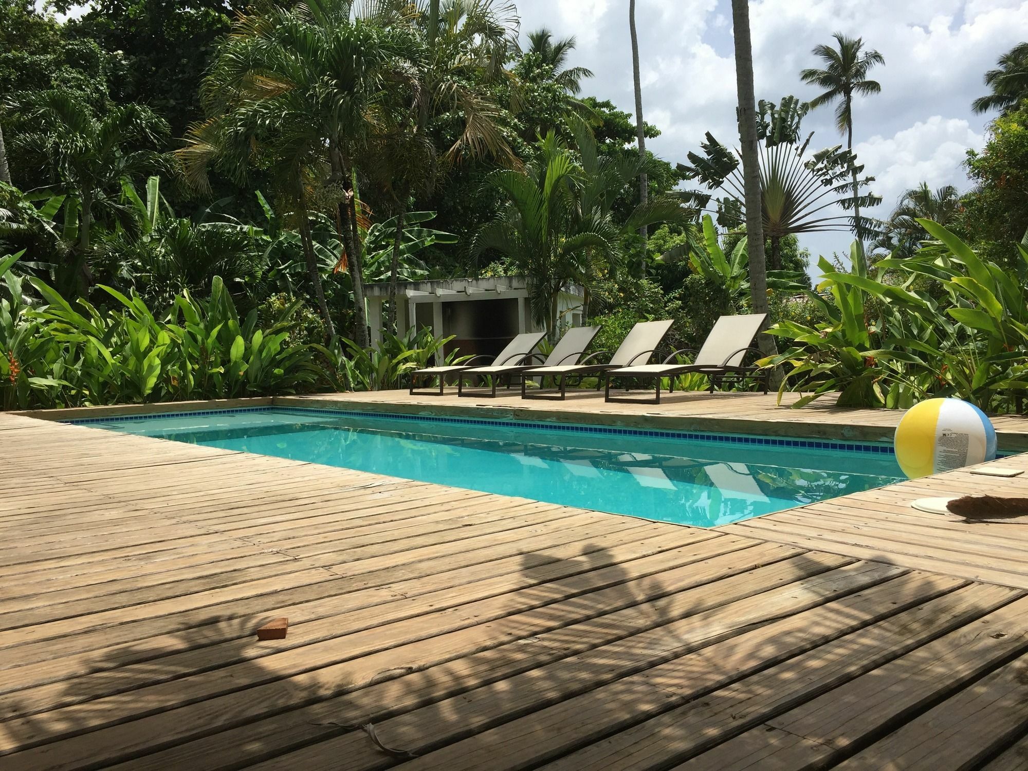 Casa Barbara Guest house Las Terrenas