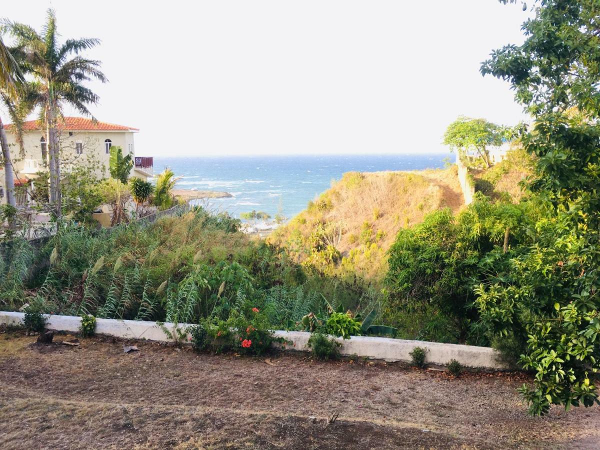 Peaceful Ocean View Studio Guest house