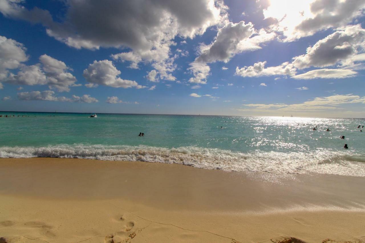 Reef Bayahibe