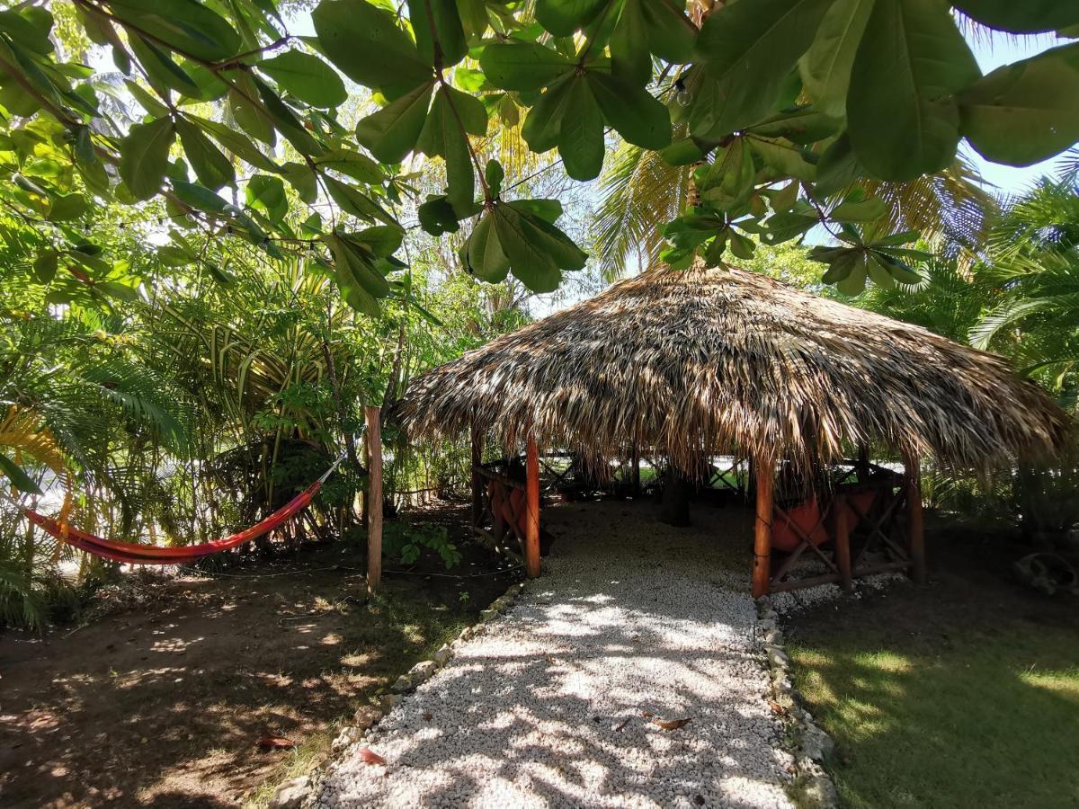 Tropical At Corales - Caribbean Fzco