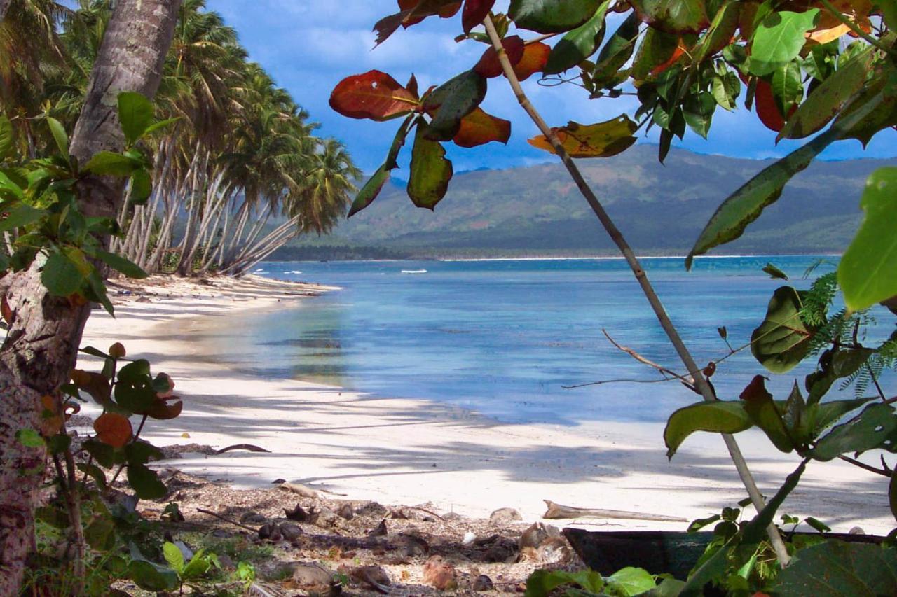 Aparthotel El Pelicano Las Galeras