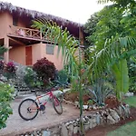 La Casa Del Arbol