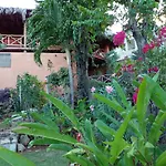 La Casa Del Arbol