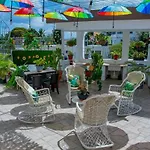 Royal Terrace V