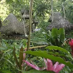 Dominican Tree House Village