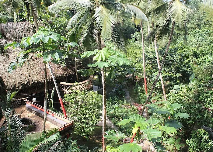 Dominican Tree House Village