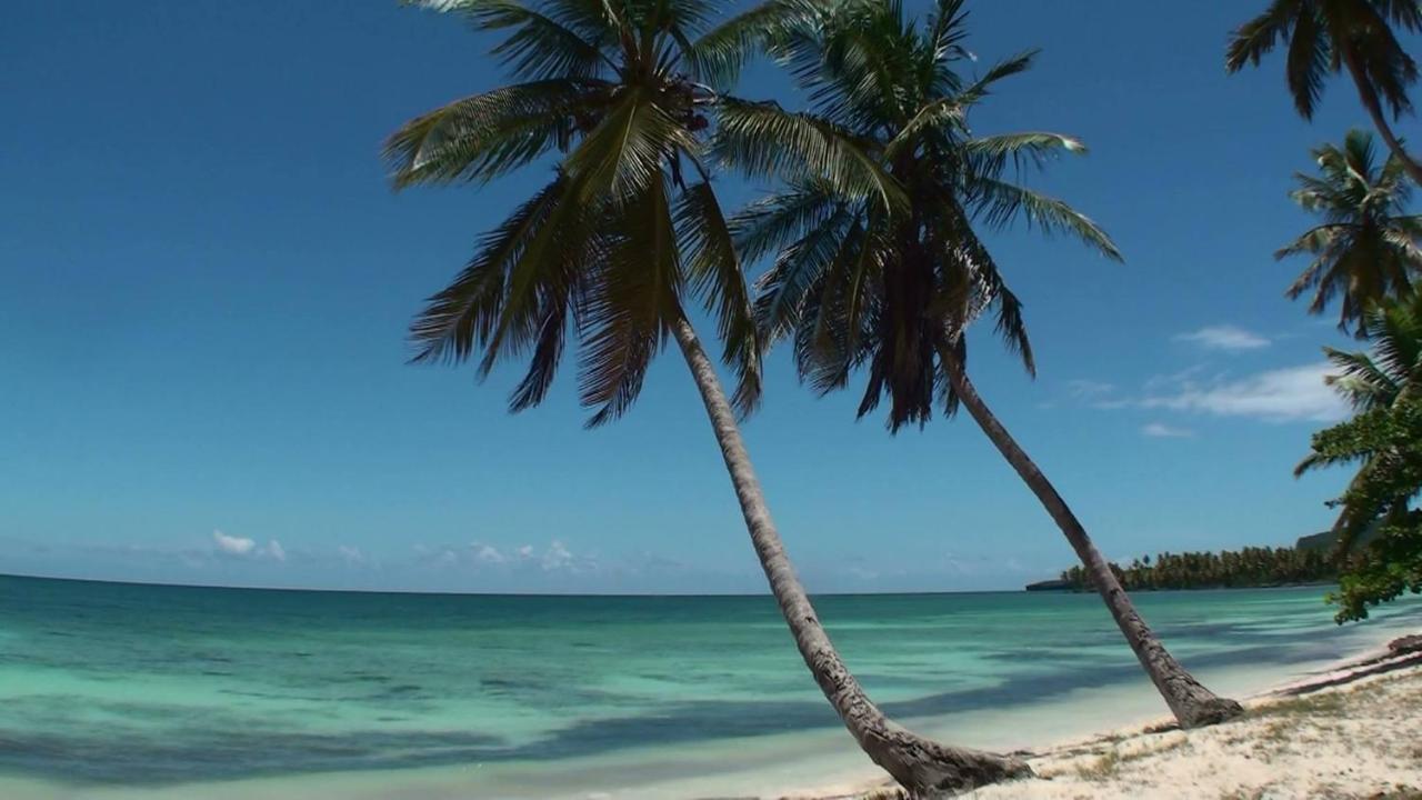La Casa Del Arbol * Las Galeras