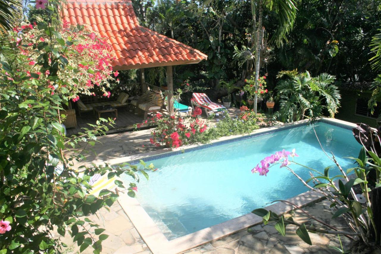 Casa Tropical * Puerto Plata