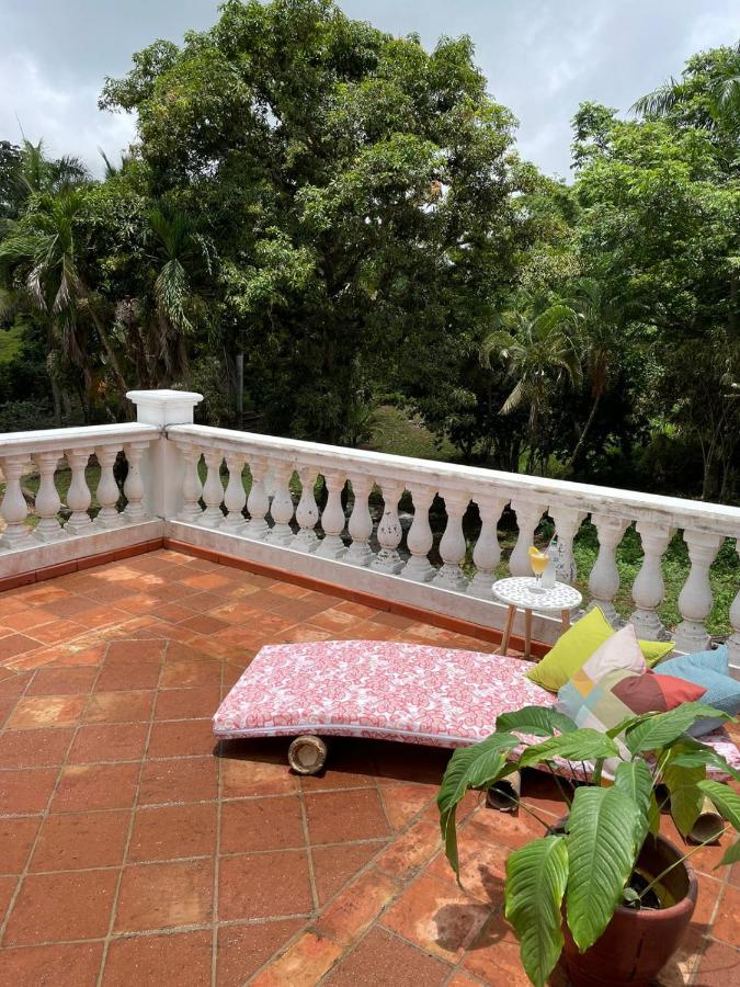 Homestay El Castillo Tropical
