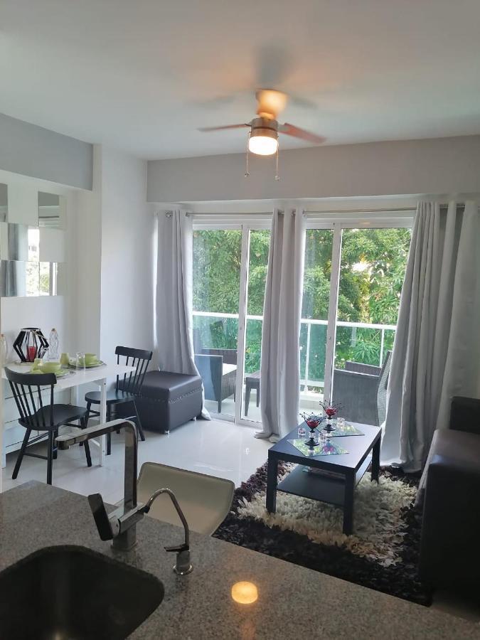 Armonia 408 In Gazcue Apartment