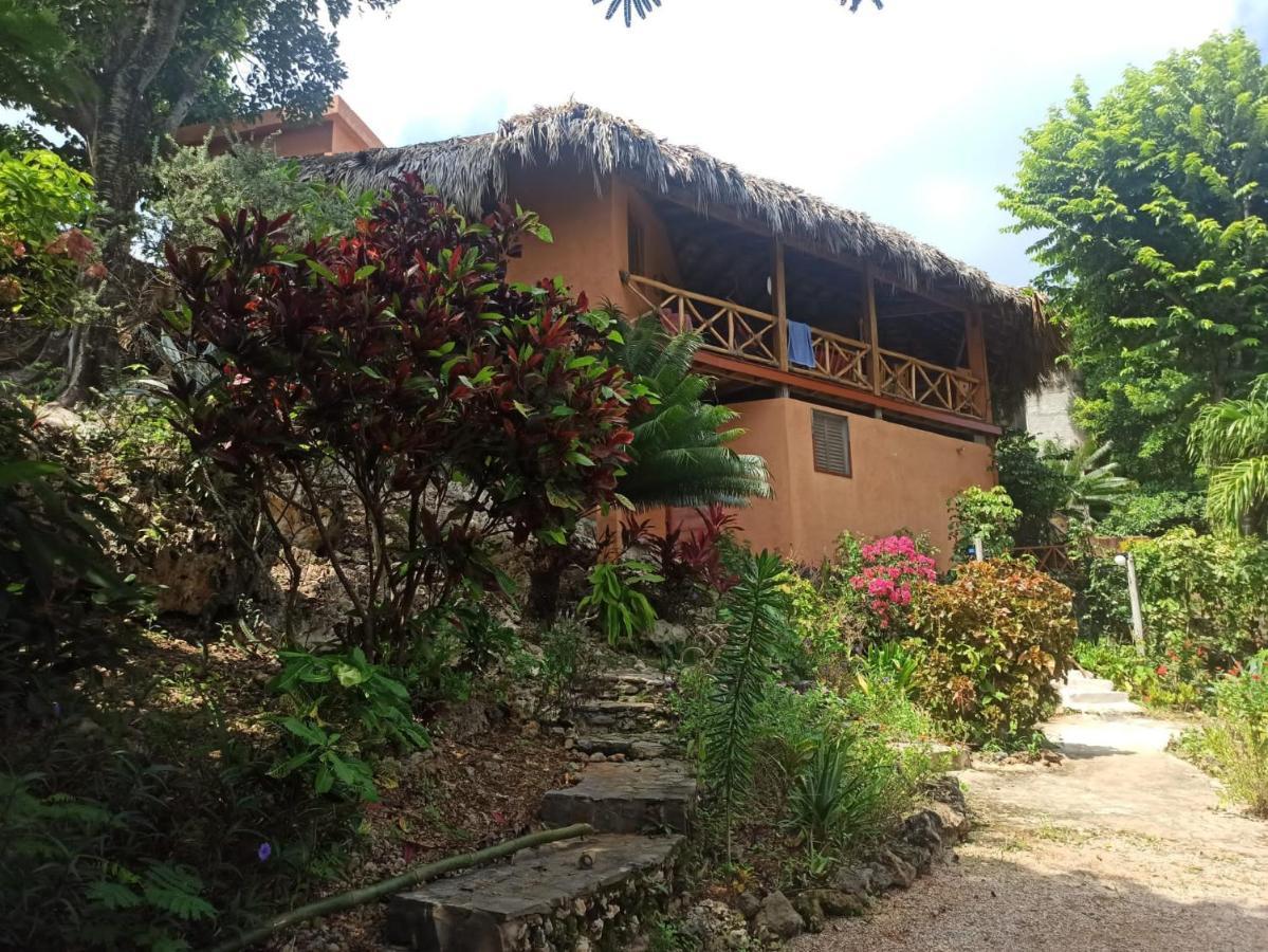La Casa Del Arbol Apartment Las Galeras