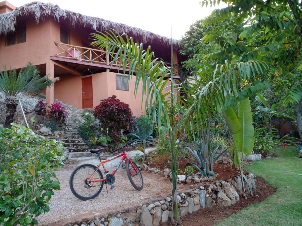 Apartment La Casa Del Arbol *