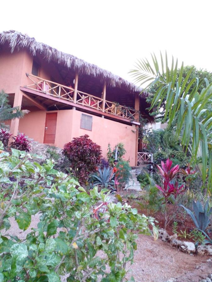 La Casa Del Arbol Apartment *