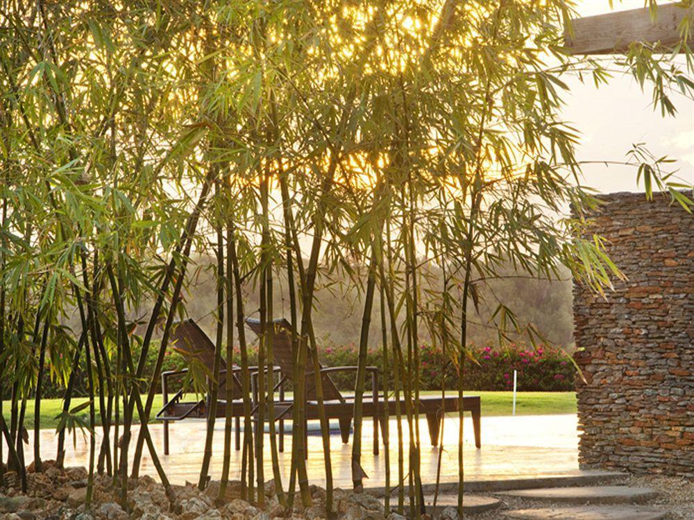 Los Altos Residences By Mint La Romana