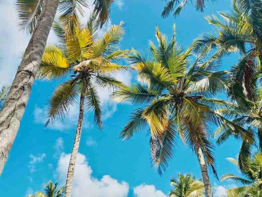 Palm House - Luxury - Samana - Ocean Front * Sanchez