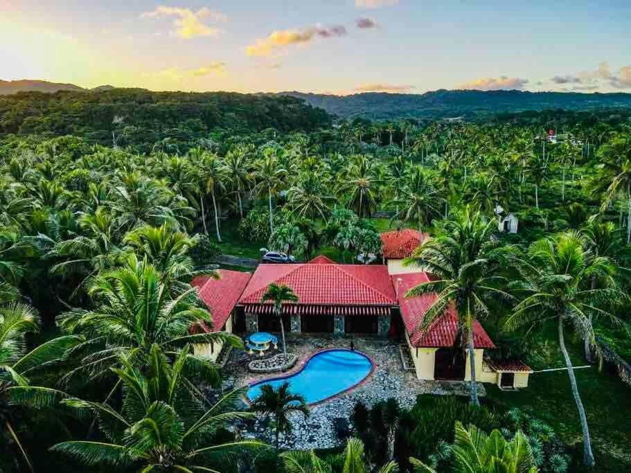 Palm House - Luxury - Samana - Ocean Front Villa