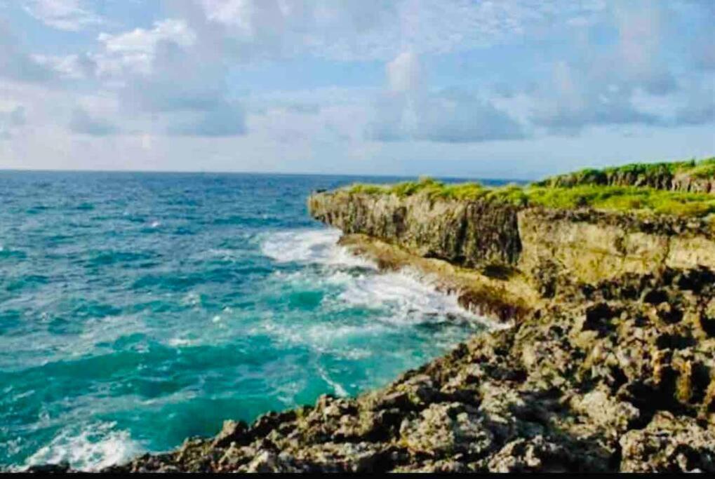 Villa Palm House - Luxury - Samana - Ocean Front