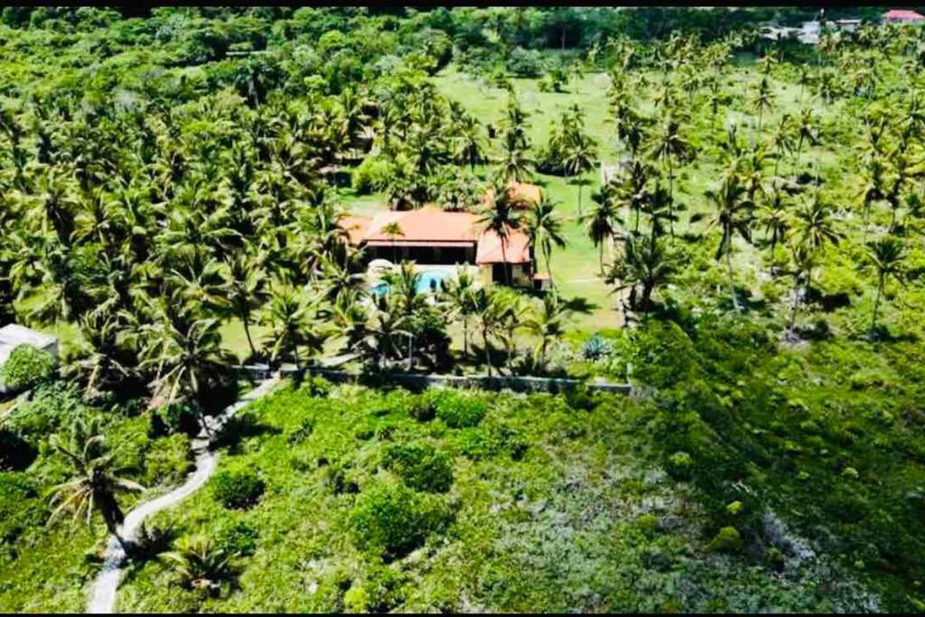 Palm House - Luxury - Samana - Ocean Front Villa