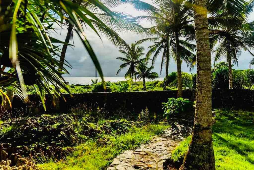 Palm House - Luxury - Samana - Ocean Front Villa
