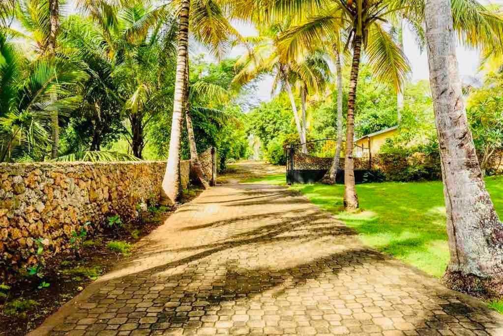 Palm House - Luxury - Samana - Ocean Front * Sanchez