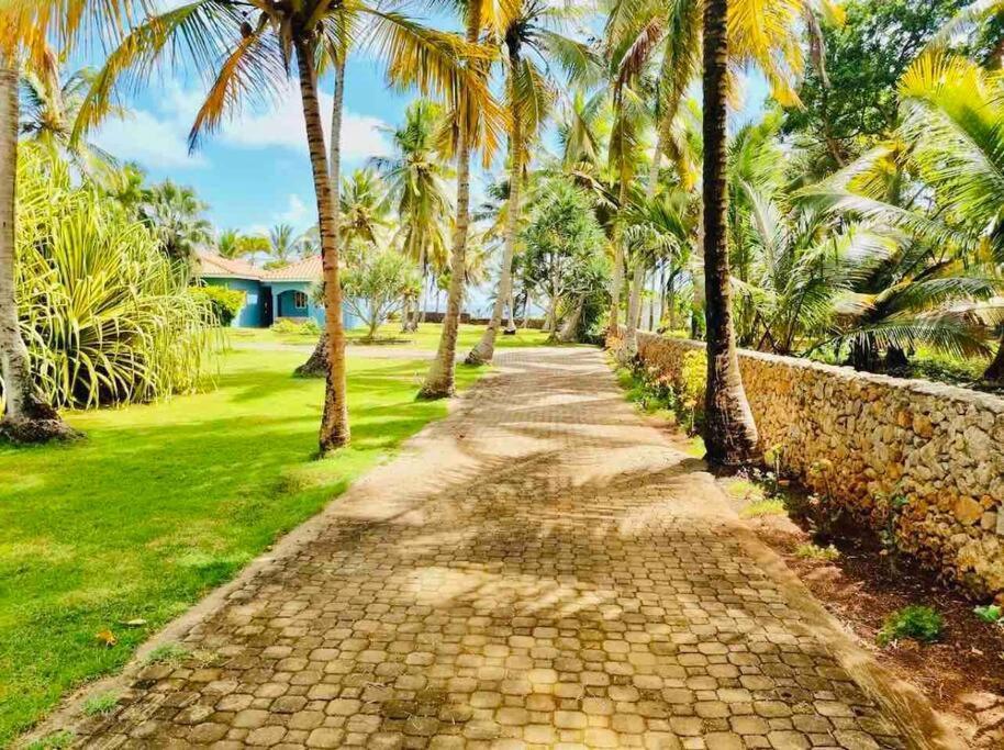 Villa Palm House - Luxury - Samana - Ocean Front *