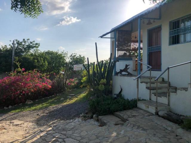 Corales Punta Rusia * Punta Rucia