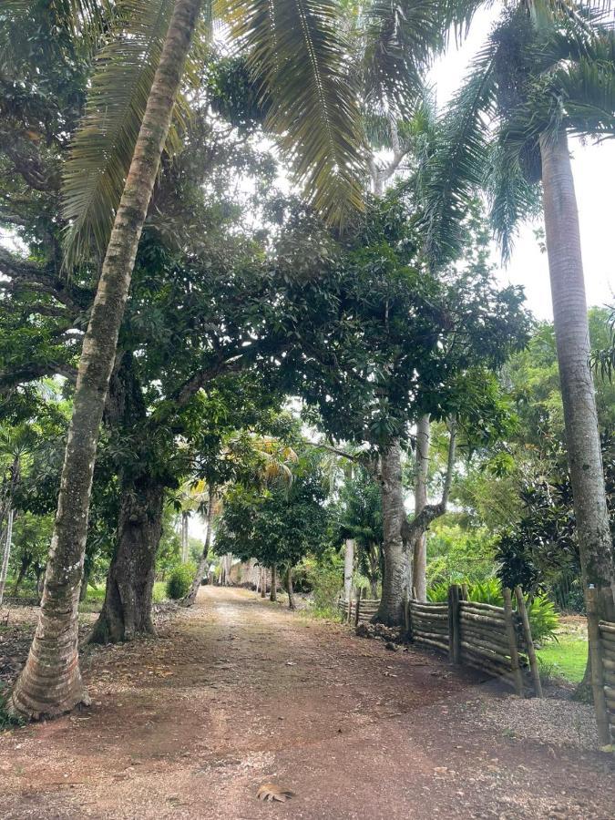 El Castillo Tropical Homestay Cabrera