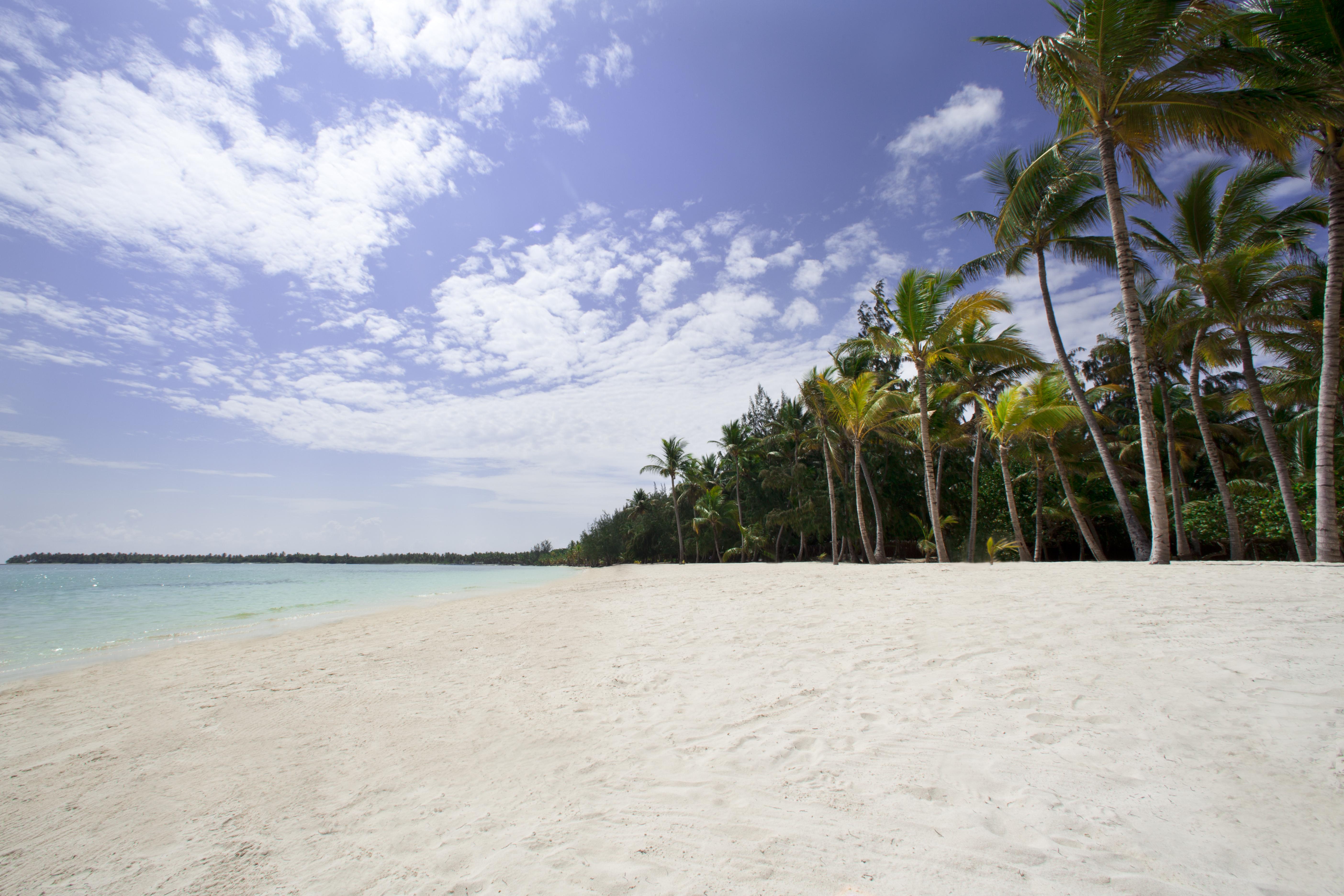 Barcelo Palace (adults Only) Resort Bavaro