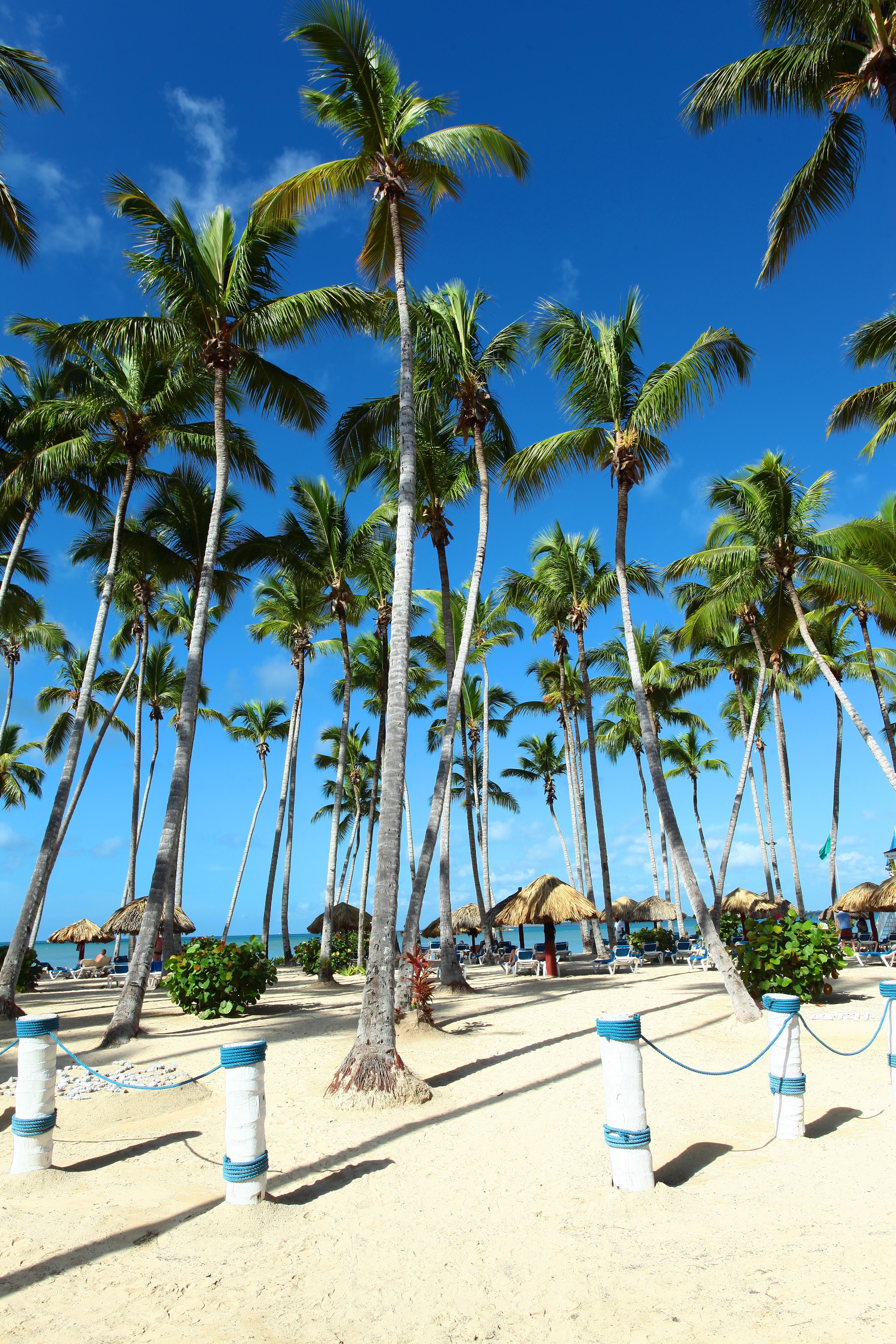 Bahia Principe Grand La Romana (adults Only) Resort El Soco