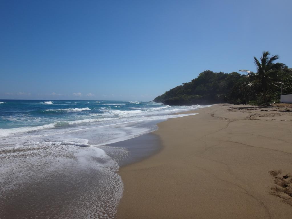 Garden By The Sea Bed & Breakfast 4*