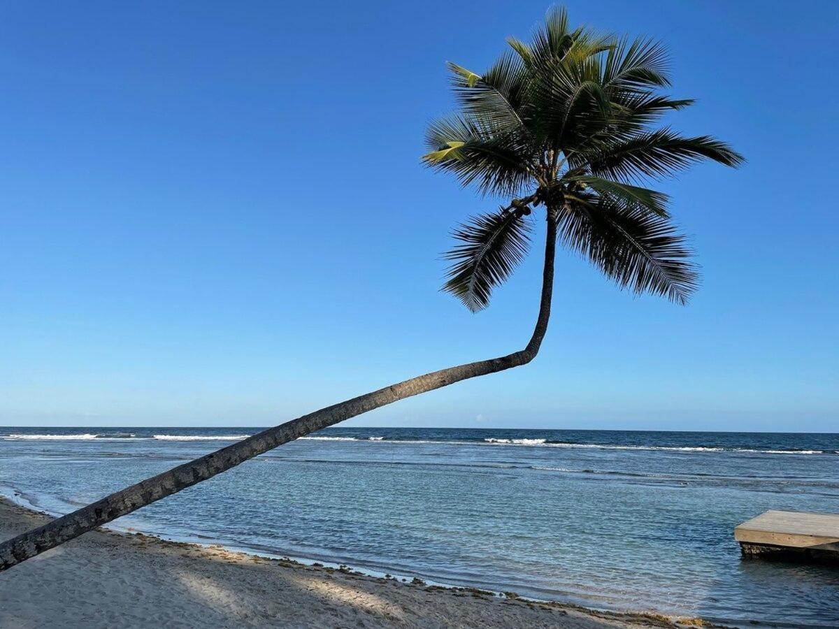 Aquarella Beachfront 2br Sunset Juan Dolio